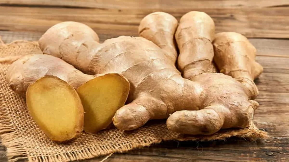 FAKTA UNIK! Obat Alami Zaman Dulu, Warisan Leluhur yang Tetap Abadi